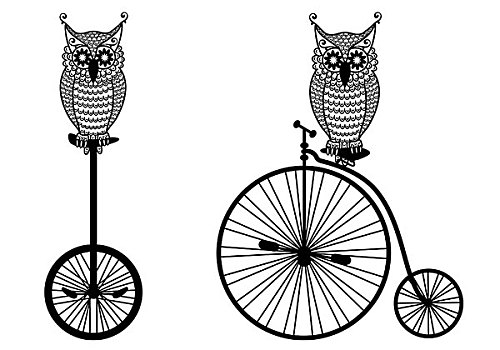 猫头鹰,老,自行车