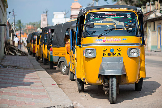 排,黄色,人力车,出租车,岛屿,泰米尔纳德邦,印度,亚洲
