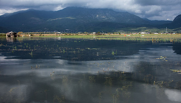 拉市海