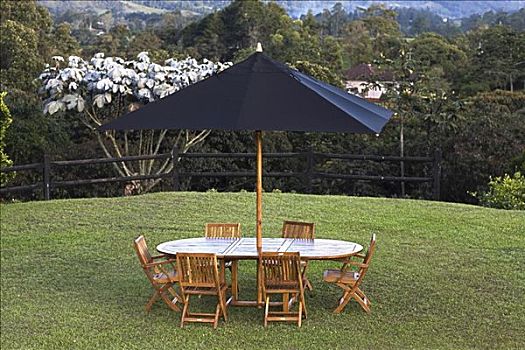 桌子,椅子,遮阳伞,草地