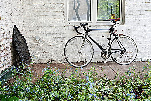 自行车,倚靠,刷白,砖墙,后面,花坛