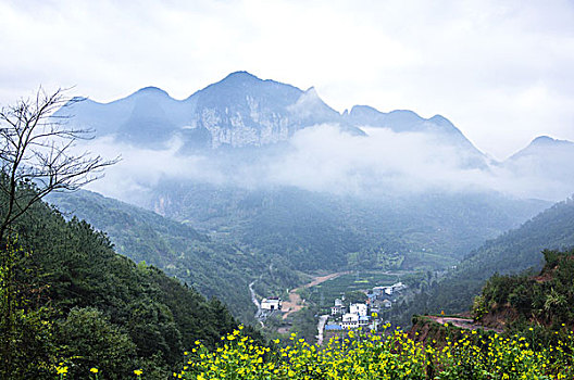 雾色山岭