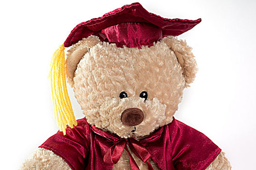 毕业,泰迪熊