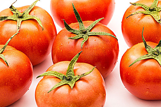 番茄西红柿蔬菜写照