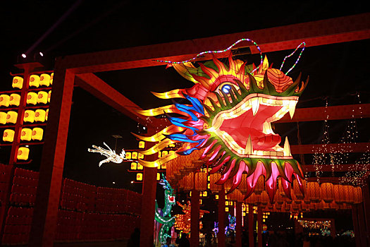 绚丽灯会和精彩的舞龙舞狮表演,让游客大呼过瘾