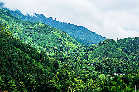 夏日山景