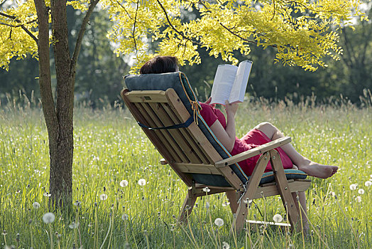 美女,坐,读,书本,花园椅,落叶树,哈根,下萨克森,德国,欧洲