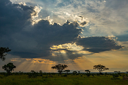 黃昏,伊丽莎白女王国家公园,乌干达