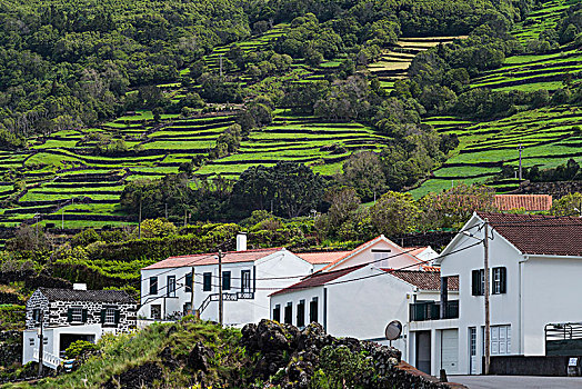 葡萄牙,亚速尔群岛,皮库岛,城镇景色