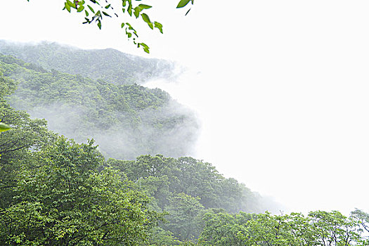 安徽金寨大别山马鬃岭国家自然保护区风光