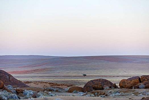 黎明,纳米布沙漠,纳米比诺克陆夫国家公园,纳米比亚,非洲