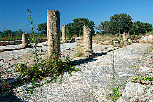 遗址,大教堂,塞浦路斯北部