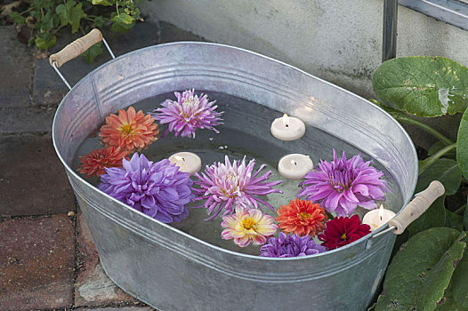 浴缸,大丽花,花,浮水蜡烛