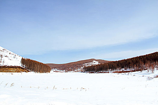 雪后的白桦树林和山