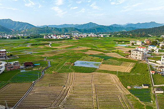 中国广西蒙山县乡村田园风光夏日景美如画