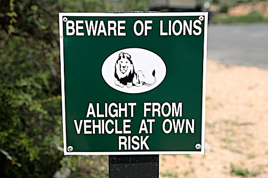 狮子,警告标识,南非