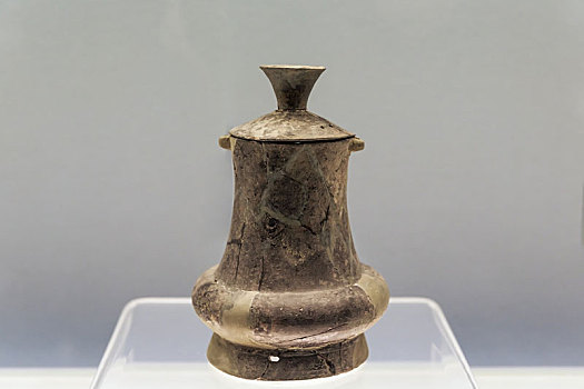 上海博物馆藏良渚文化黑陶细刻纹双鼻壶