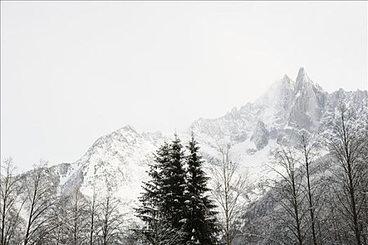 树,山,法国阿尔卑斯山