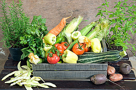 新鲜,药草,蔬菜,木质,板条箱