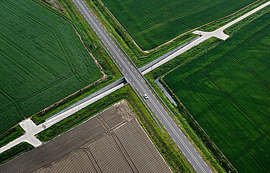 地点,乡间道路,春天,荷兰