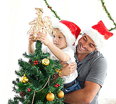 高兴,父亲,帮助,儿子,放,天使,圣诞树,在家