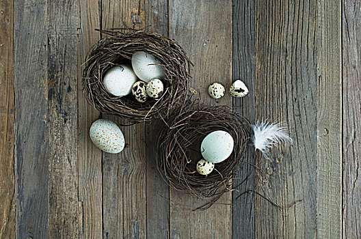 两个,复活节蛋巢,多样,蛋,木桌子
