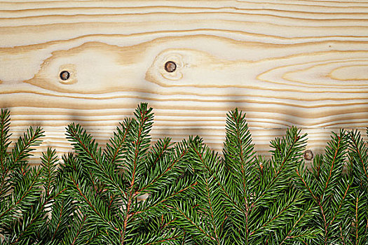 边界,冷杉,细枝,木头,背景,圣诞节