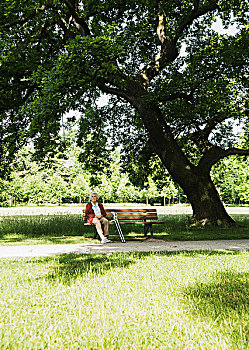 老年,女人,坐,公园长椅,公园
