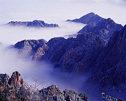 安徽,黄山,云海,雪,雾淞