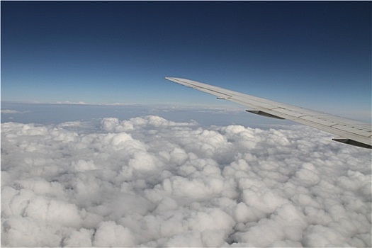翼,飞机,高处,云,风景