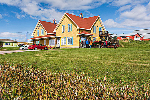 房子,岛屿,加拿大