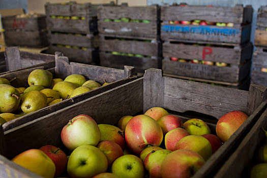 盒子,苹果,梨,荷兰,新鲜,多汁,健康食物,完美,营养,水果,市场,蔬菜