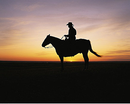 剪影,牛仔,骑马,日落,草原国家公园,萨斯喀彻温,加拿大