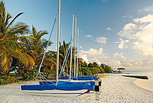 爱好,双体船,帆船,并排,海滩,棕榈树,岛屿,南马累环礁,马尔代夫,亚洲,印度洋
