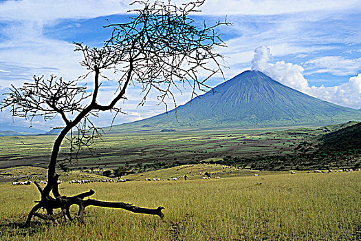 坦桑尼亚,火山