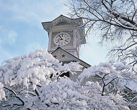 札幌,钟楼,冬天