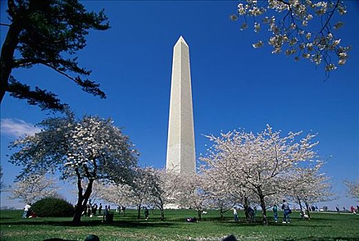 仰视,纪念建筑,华盛顿纪念碑,华盛顿特区,美国