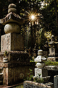 日本,墓地,高野山