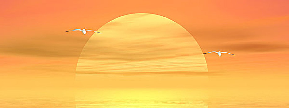 海鸥,日落