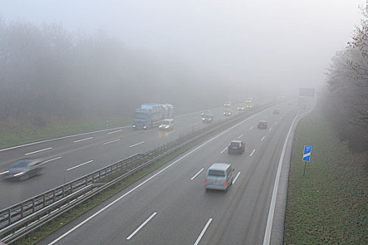 雾,公路,靠近,巴登符腾堡,德国,欧洲