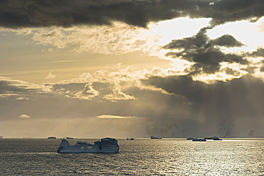 南极,海峡,港口,日落