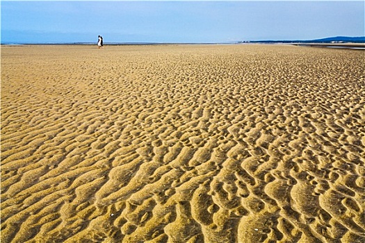 湿,沙子,低水位,海滩,英吉利海峡