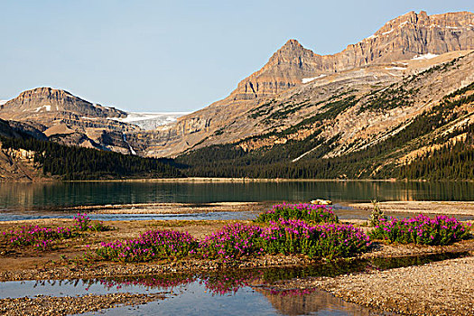 加拿大,艾伯塔省,碧玉国家公园,弓湖,冰河,瀑布