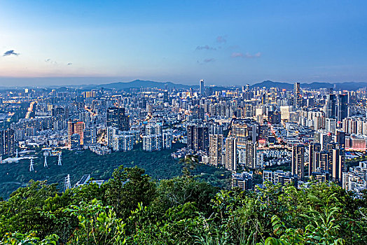 深圳后海夜景城市建筑天际线