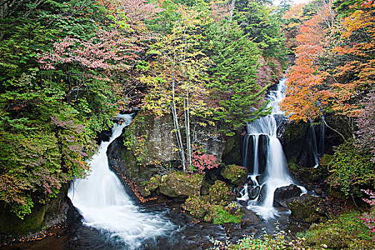 瀑布,秋天,枥木,日本,亚洲