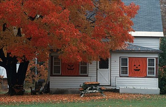 房子,秋天,树,新罕布什尔,美国