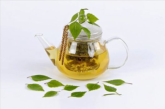 桦树,叶子,茶,玻璃茶壶