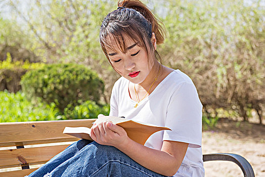 坐在校园里看书的漂亮的女学生