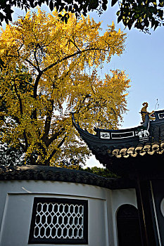 桂林公园秋色