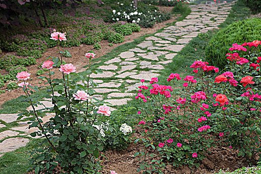 花园小路